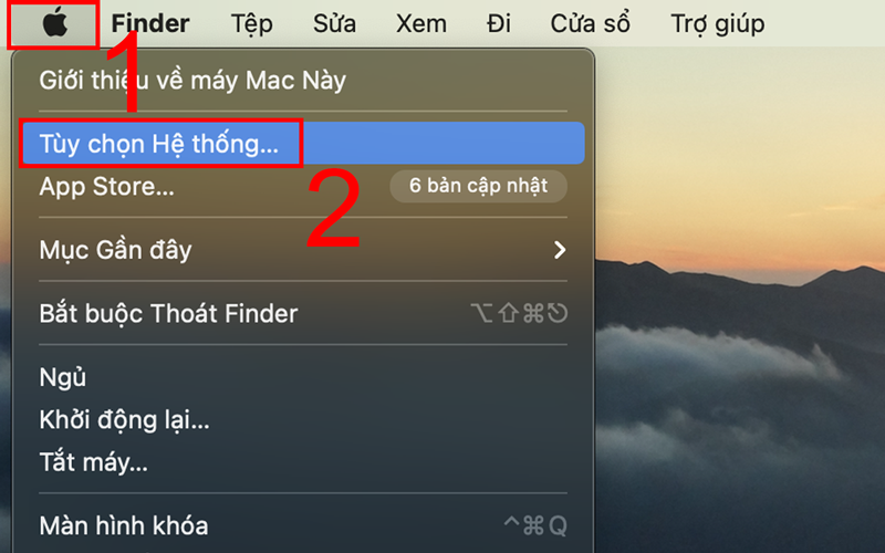 Chọn mục Tùy chọn hệ thống